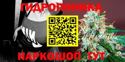 каннабис Будённовск