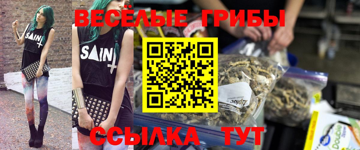Псилоцибиновые грибы Cubensis  Вход с VPN  Псилоцибиновые грибы мицелий  Нефтеюганск 